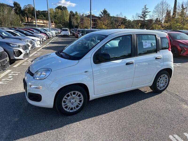 FIAT Panda New 1.0 70cv Hybrid Panda