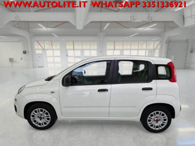 FIAT Panda 1.2 Easy 5 Posti
