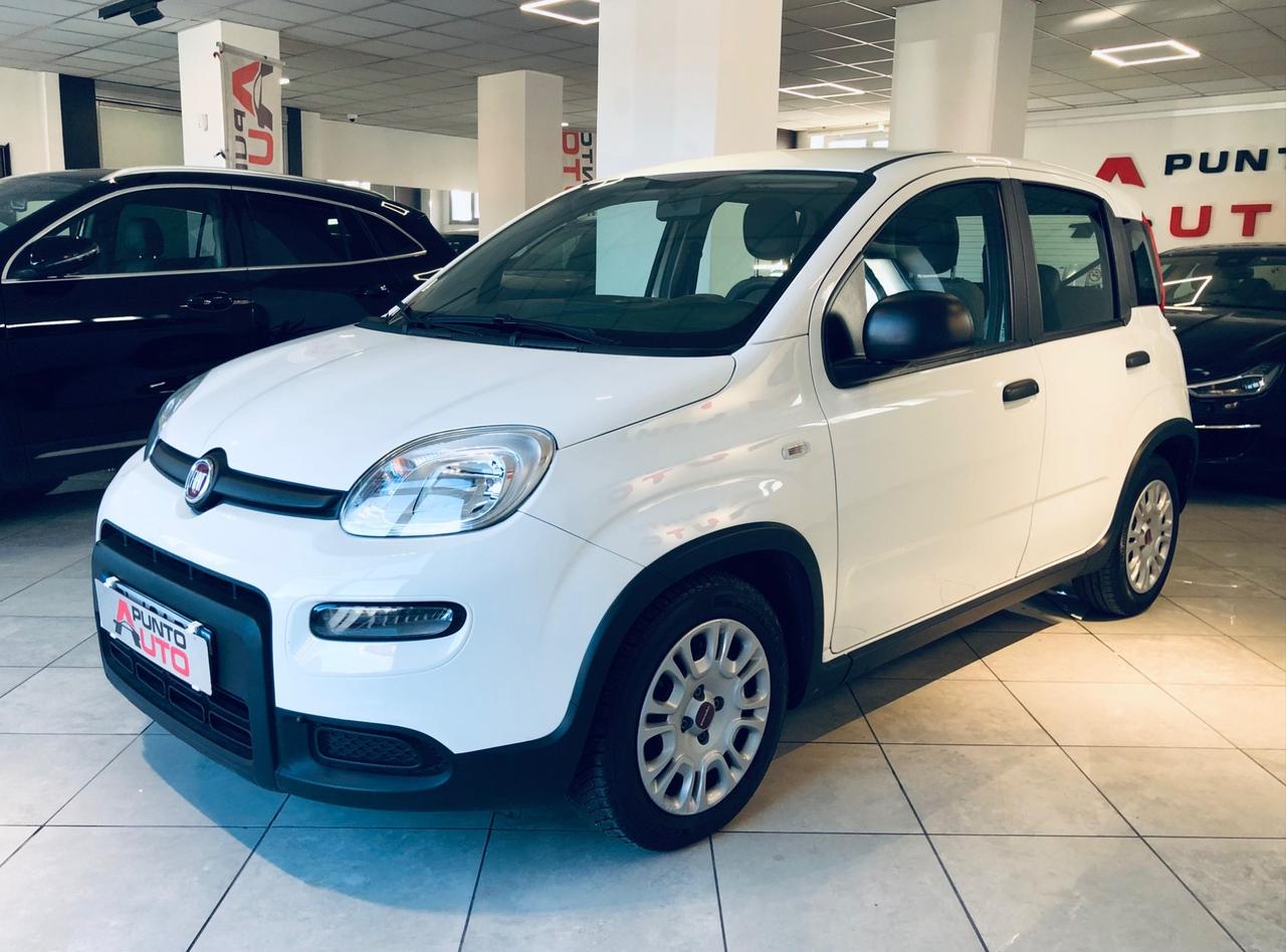 Fiat Panda 1.0 FireFly S&S Hybrid City Life