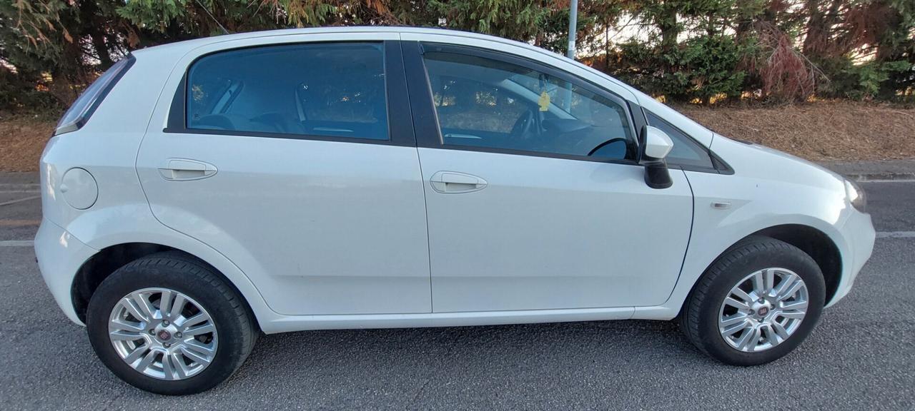 PUNTO 1,4 FIRE NATURAL POWER METANO DI SERIE FIAT LEGA CRUISE SENSORI IMPECCABILE