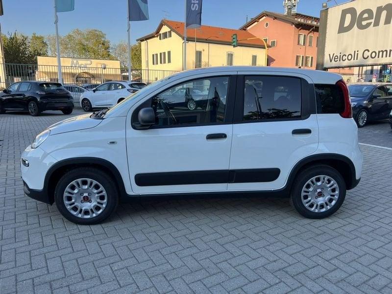 FIAT Panda 1.0 S&S Hybrid Van 4 posti (IVA ESCL.)