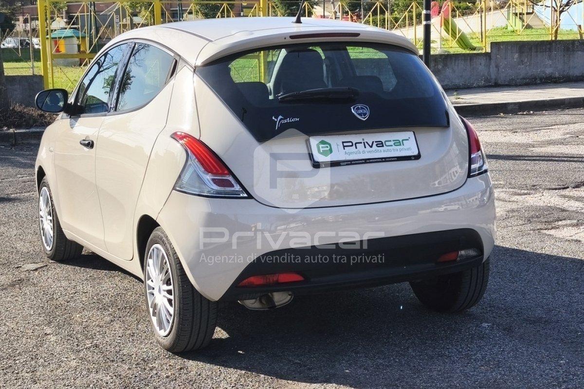 LANCIA Ypsilon 1.2 69 CV 5 porte Elefantino