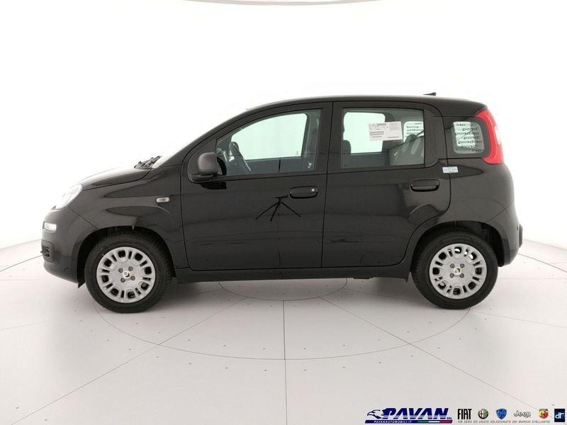 FIAT Pandina Panda 1.0 FireFly 65 CV Hybrid Pop