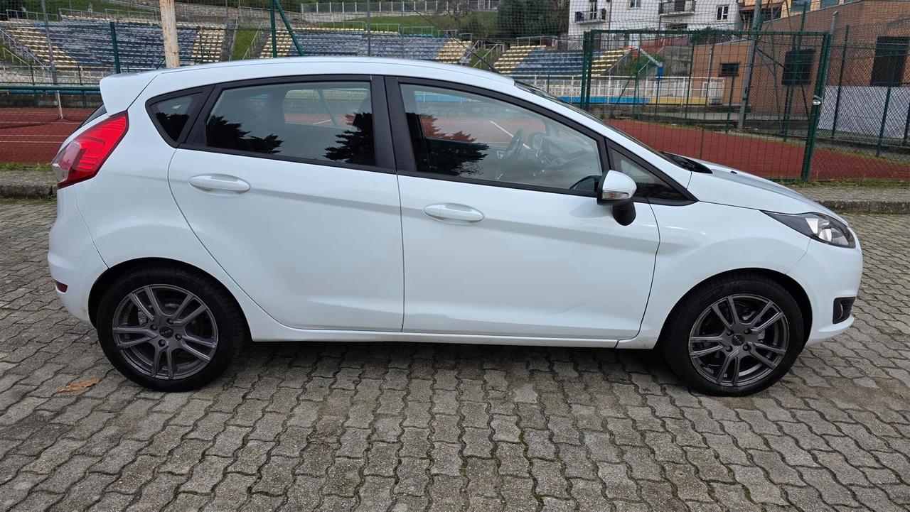 Ford Fiesta 1.5 TDCi 75CV 5 porte Titanium