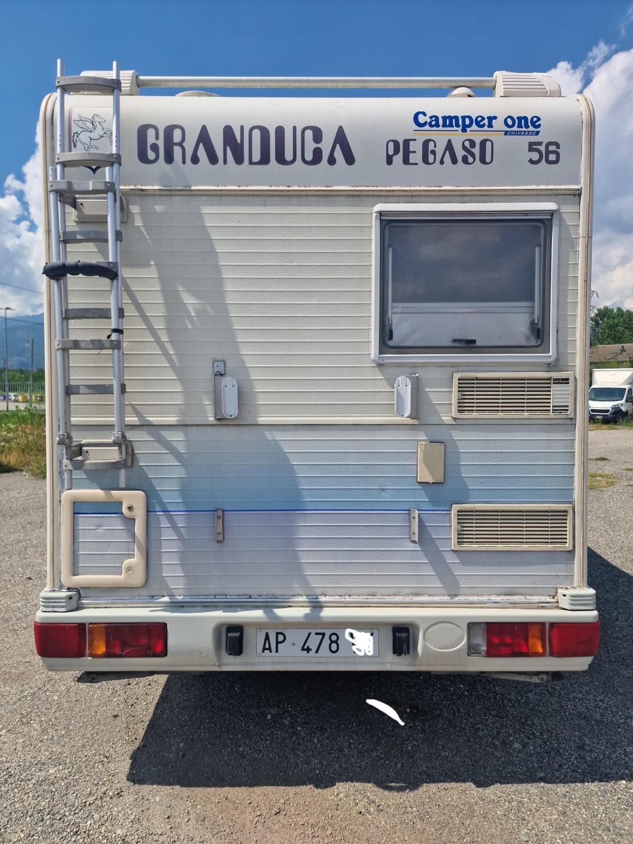 Granduca PEGASO del 1998 in saldo 478