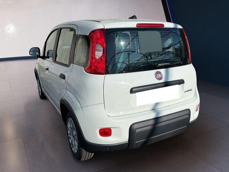 FIAT Panda My23 1.0 70cv Hybrid Panda
