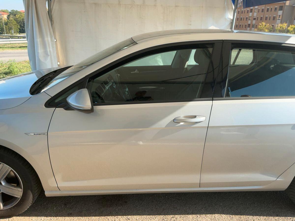 Volkswagen Golf Business 1.4 TGI DSG 5p. Highline BlueMotion