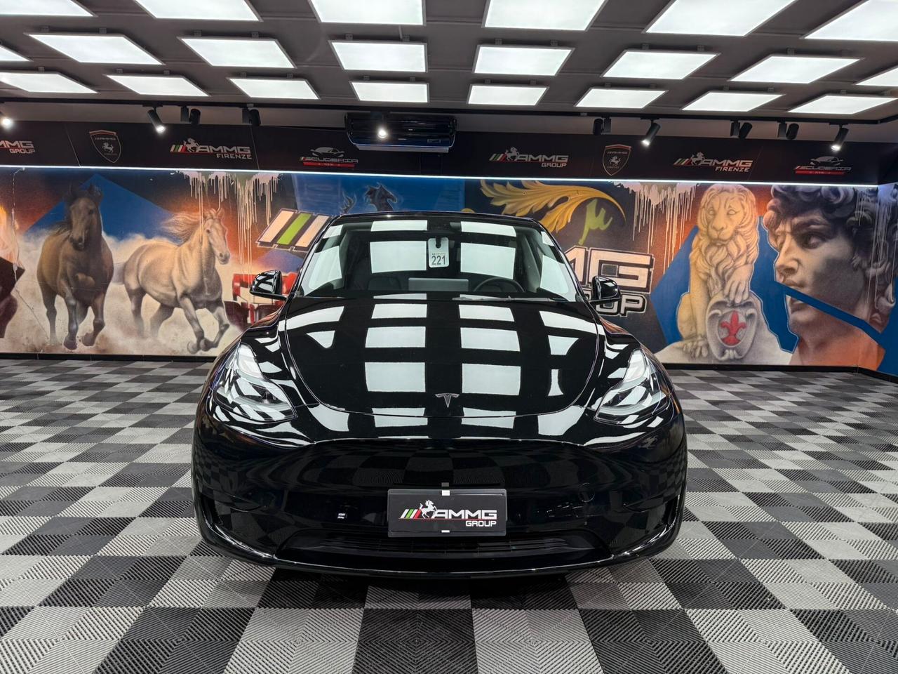 Tesla Model Y RWD (995)