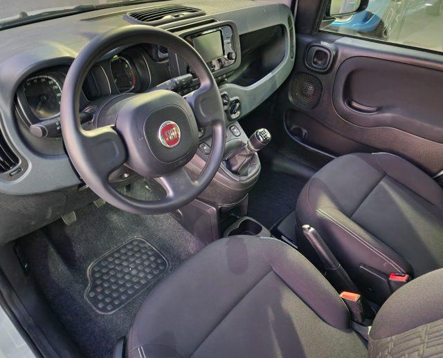 FIAT Panda 1.0 FireFly S&S Hybrid IVA ESPOSTA, NEO PATENTATI