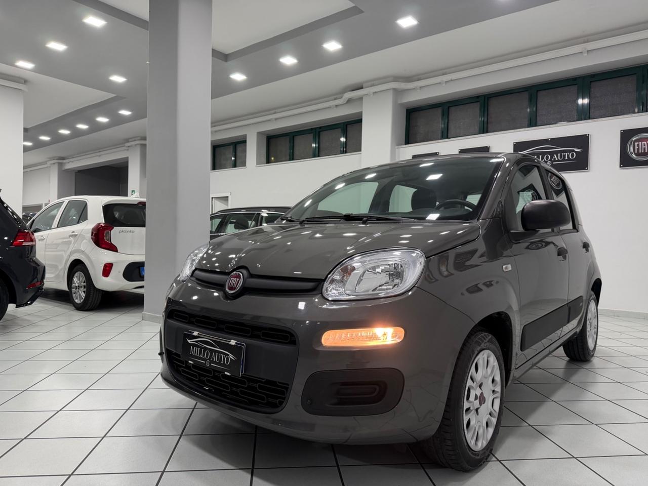 Fiat Panda 1.2cc 69cv Easy 2021