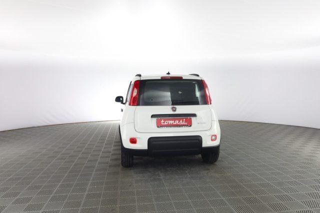 FIAT Panda Panda 1.0 FireFly Hybrid City Life