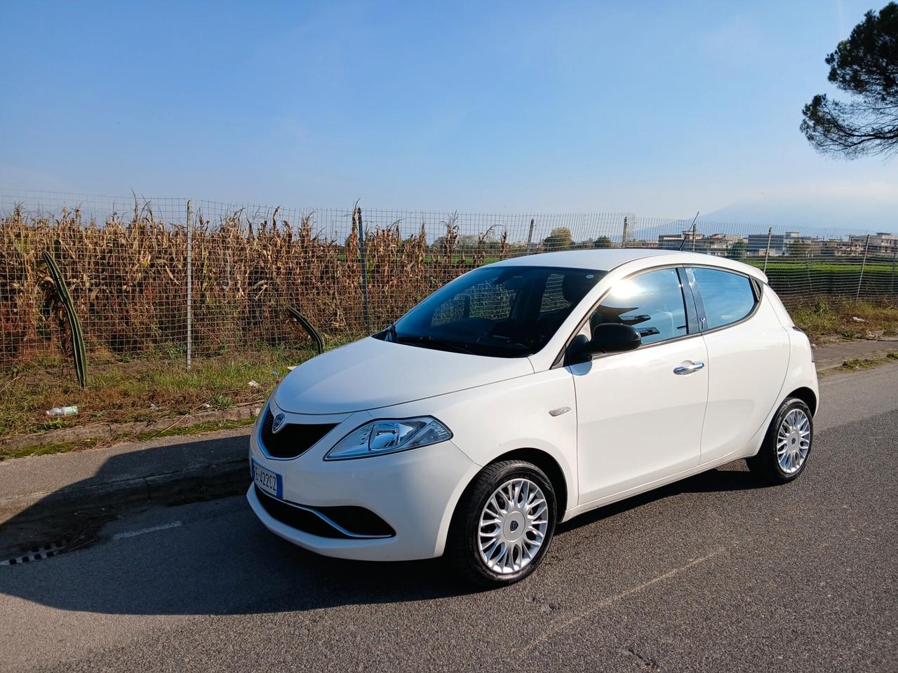 Lancia Ypsilon 1.3 MJT 16V 95 CV 5 porte Platinum