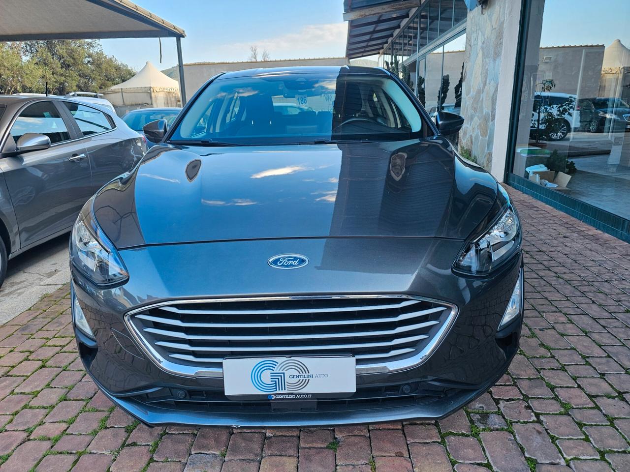 Ford Focus 1.5 EcoBlue 120 CV automatico 5p. Business Co-Pilot