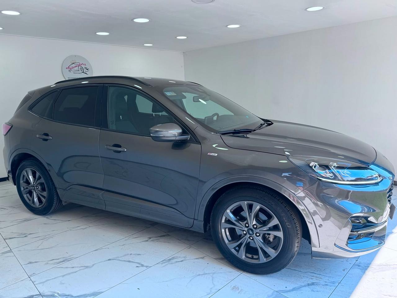 Ford Kuga 1.5 EcoBlue 120 CV 2WD ST-Line X