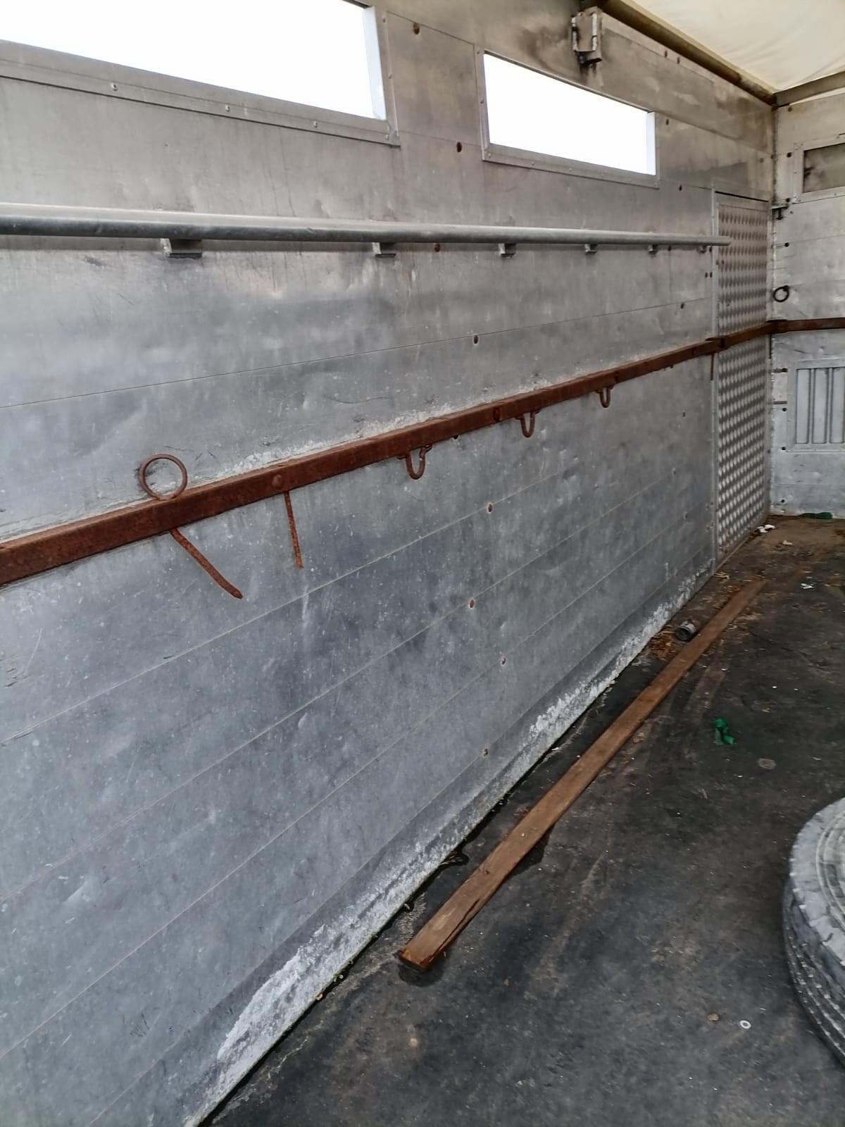 DAF fa 45 180 trasporto animali cavalli 75q