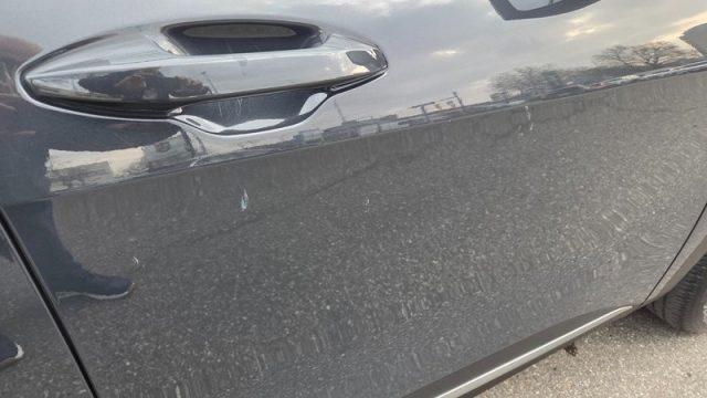 KIA Sportage 1.6 CRDi MHEV Business NEOPATENTATI PERMUTE