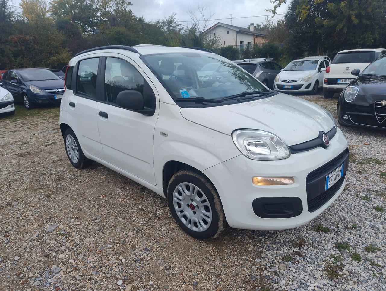 Fiat Panda 1.2 Lounge