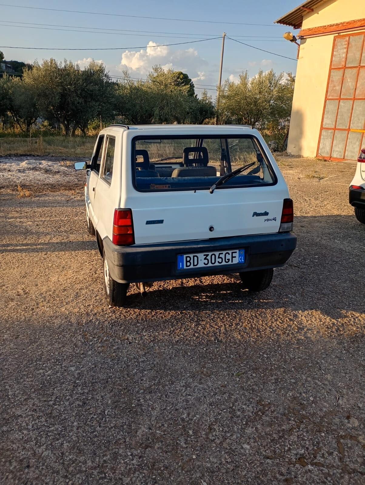 Fiat Panda 900 i.e. cat Young