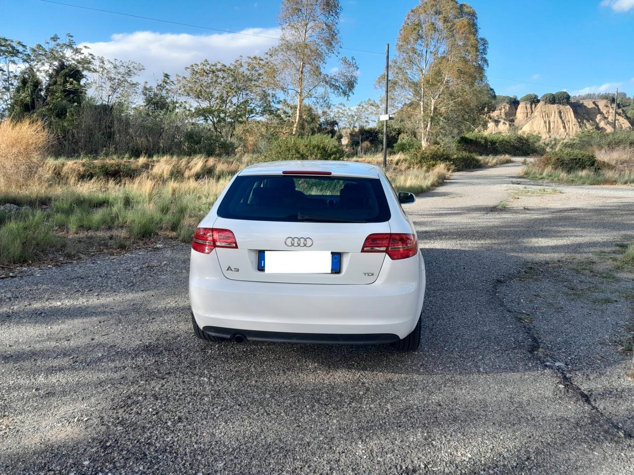 Audi A3 1.6 TDI 90 CV OK NEO PATENTATI