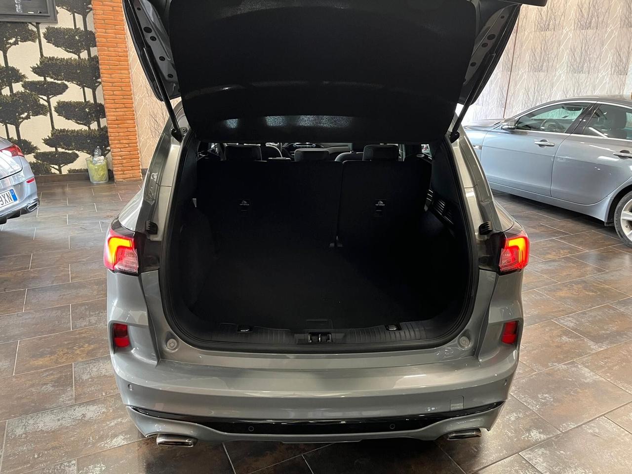 Ford Kuga 1.5 EcoBlue 120 CV aut. 2WD ST-Line