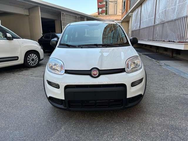 Fiat Panda 1.0 Hybrid 70cv Radio Bluetooth 36 Rate da 177,95