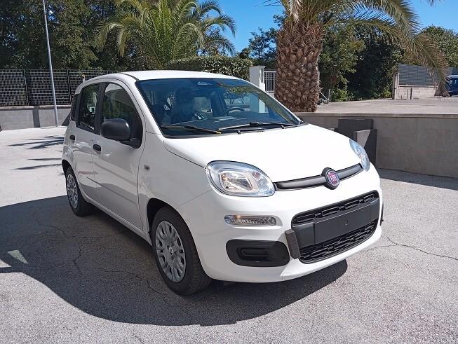 Fiat Panda 1.0 FireFly S&S Hybrid Icon