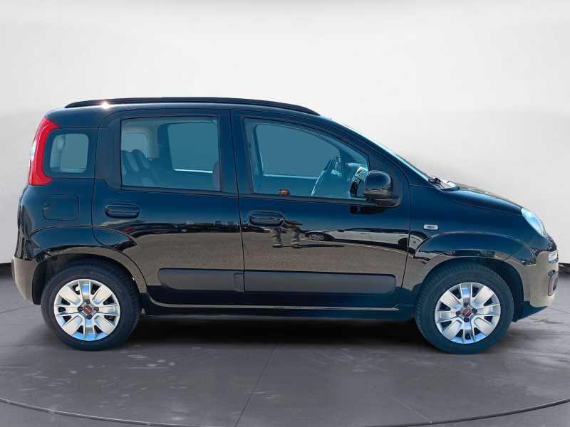 FIAT Panda 2016 Benzina - Panda 1.2 Easy easypower Gpl 69cv