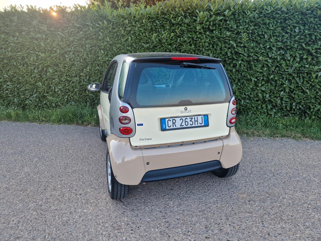 Smart ForTwo 700 45kw