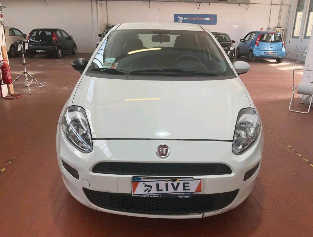 Fiat Punto 1.2 8V 5 porte Street