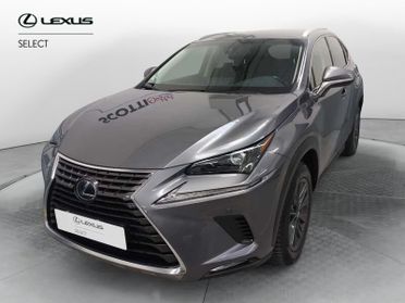 Lexus NX 1ª serie Hybrid 4WD Executive