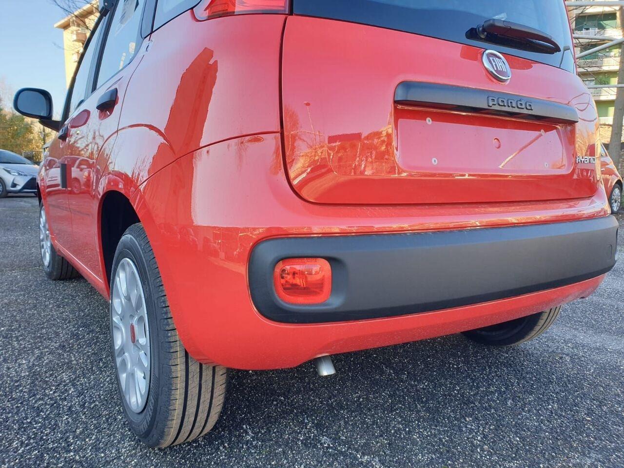 FIAT Panda III 2021 - Panda 1.0 firefly hybrid s&s 70cv