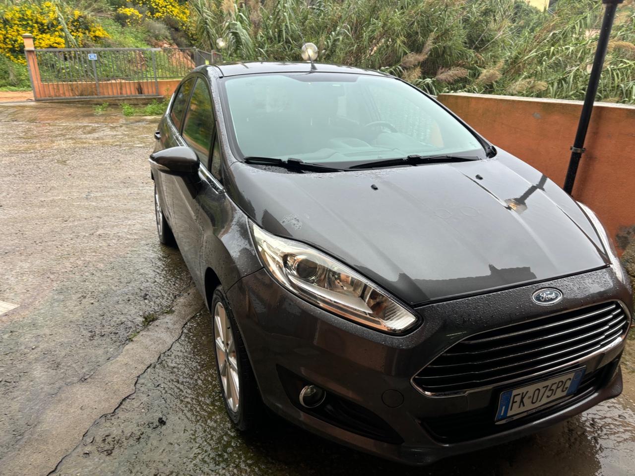 Ford Fiesta 1.5 TDCi 75CV 5 porte Titanium