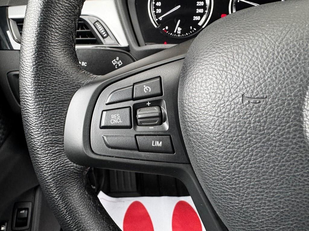 Bmw X1 xDrive25e Business Advantage