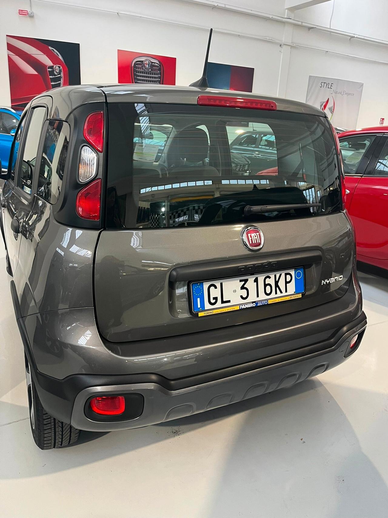 FIAT Panda 3ª serie Panda 1.0 FireFly S&S Hybr...