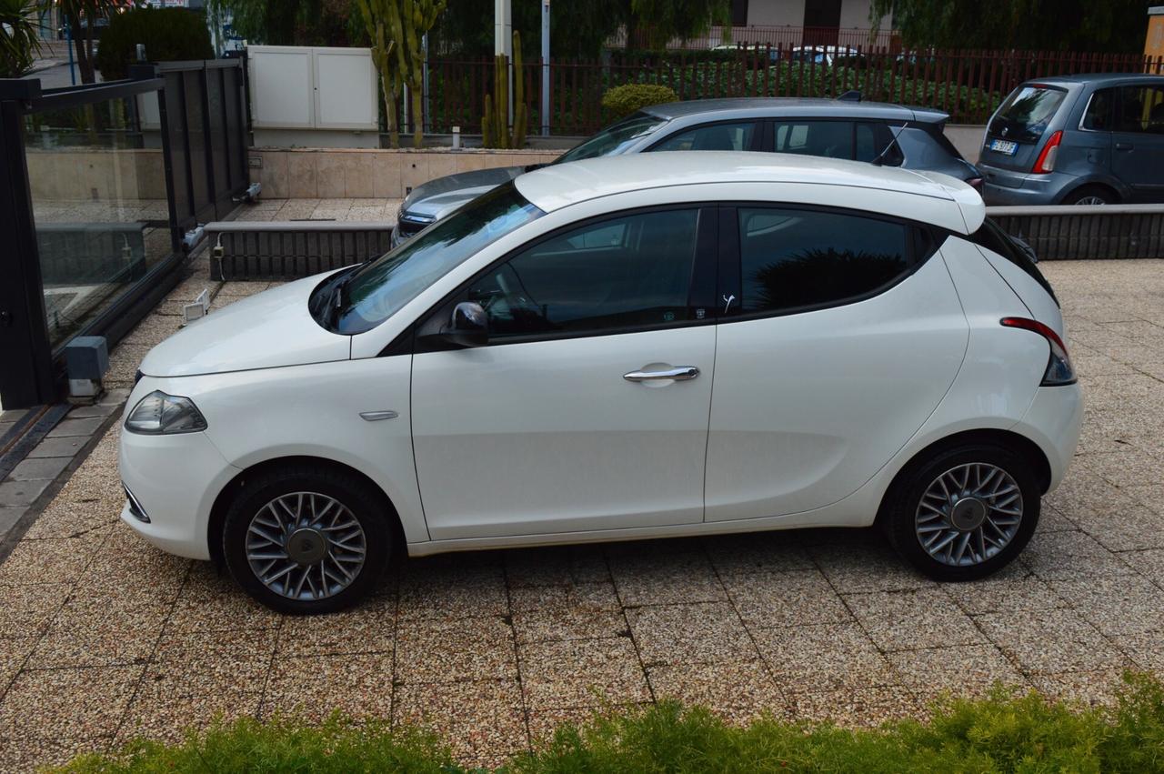 Lancia Ypsilon 1.3 MJT 16V 95 CV 5 porte S&S Platinum