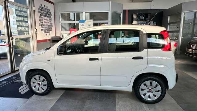 Fiat Panda 1.3 MTJ 16V 75CV S&S Pop + NEOPATENTATO