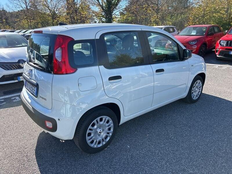 FIAT Panda New 1.0 70cv Hybrid Panda