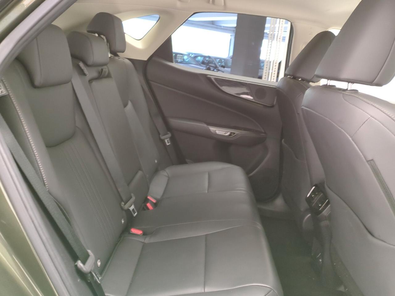 Lexus NX 300h 350h Hybrid Business