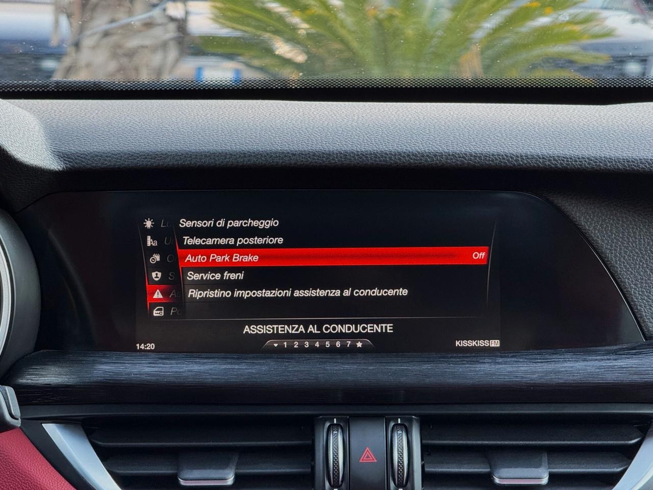 Alfa Romeo Stelvio 2.2 Turbo Diesel Super Q4 210CV TETTO