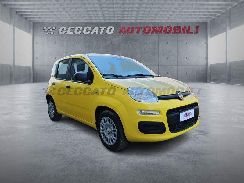 FIAT Panda Panda 1.0 firefly hybrid s&s 70cv