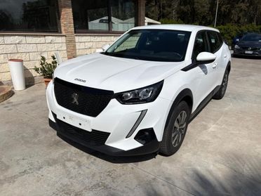 PEUGEOT 2008 BlueHDi 110 S&S Active