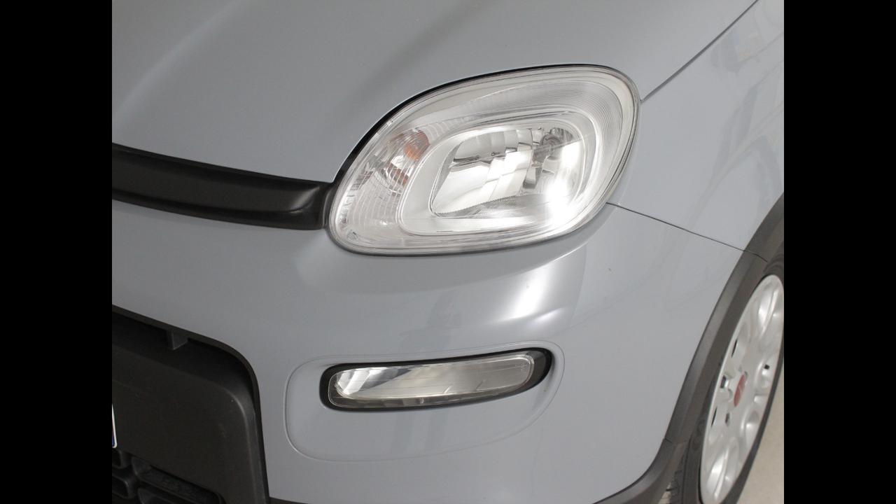 FIAT Panda III 2021 - Panda 1.0 firefly hybrid s&s 70cv