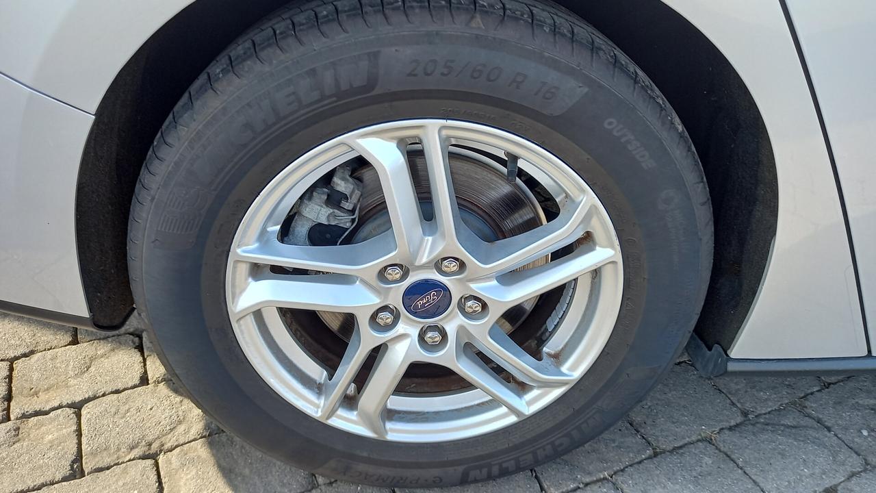 Ford Focus 1.5 EcoBlue 120 CV automatico SW Business Co-Pilot