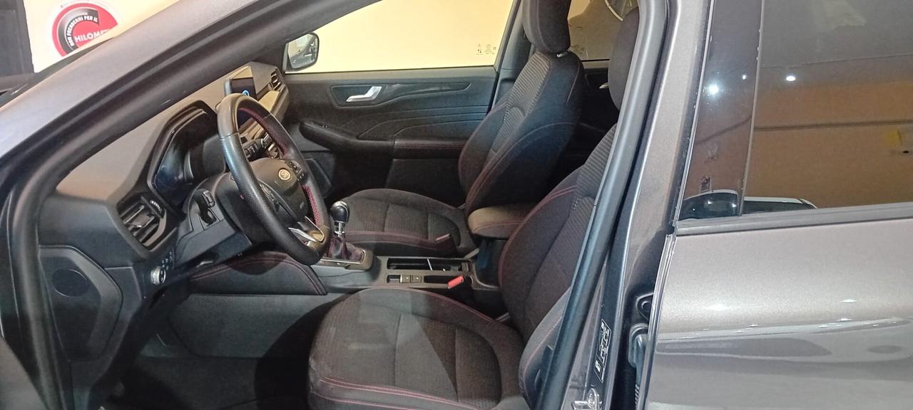 Ford Kuga 1.5 EcoBlue 120 CV aut. 2WD ST-Line
