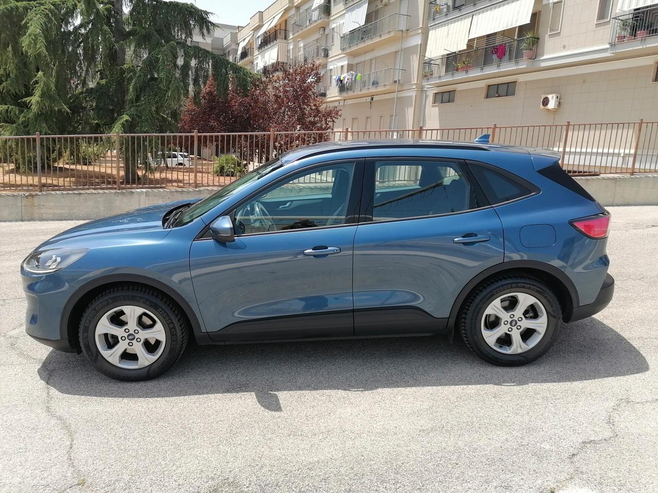 Ford Kuga 1.5 EcoBlue 120 CV Titanium 2022