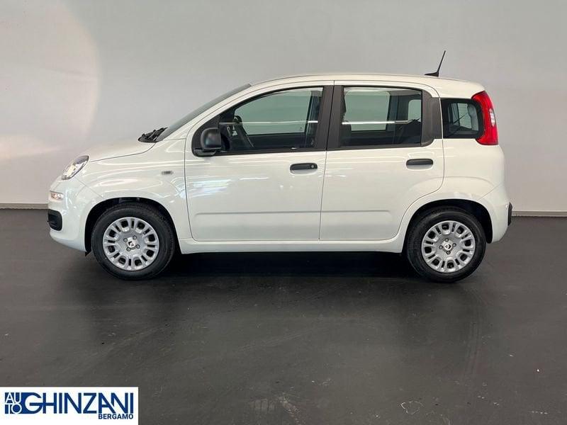 FIAT Panda 1.0 FireFly S&S Hybrid - Km0