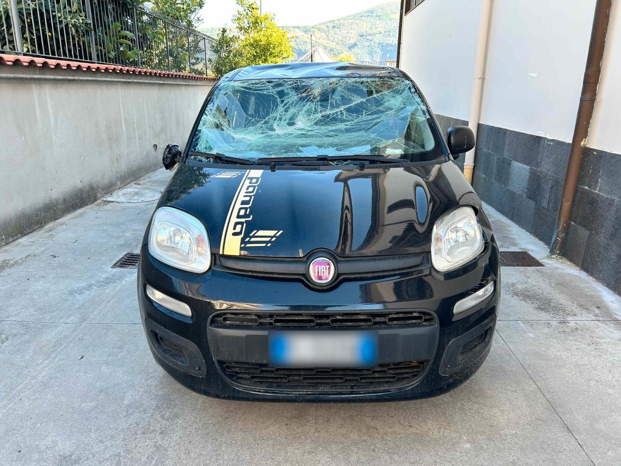 Fiat Panda 1.2 Benzina - 2017 Incidentata