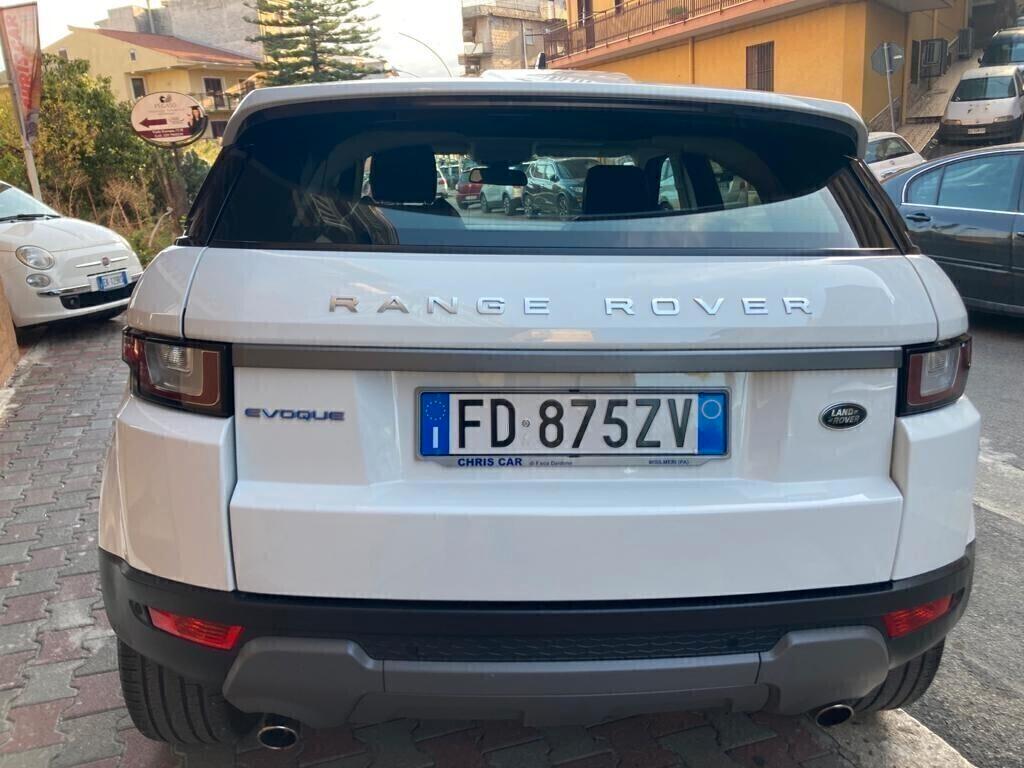 Range Rover Evoque 2.0 TD4 150 CV 5p. Business Edition Pure