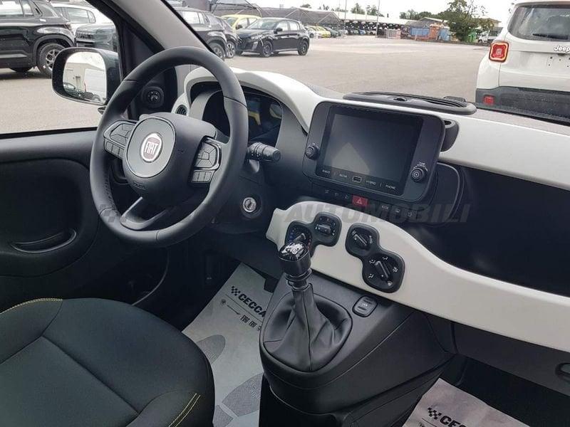 FIAT Panda Panda My25 1.0 70cv Hybrid Pandina