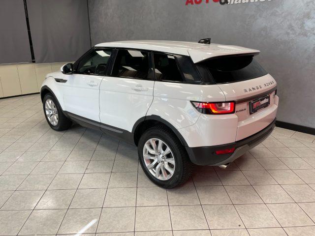 LAND ROVER Range Rover Evoque 2.0 eD4 5p. Business